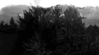 Vinterriket - Abendtann