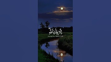 ما أصاب من مصيبة الا بإذن الله 🌿تلاوة خاشعة للقلوب 🌿للقارئ رعد الكردي 🌿