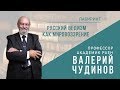 ЛАБИРИНТ | Русский ведизм как мировоззрение | Джули По и Чудинов Валерий