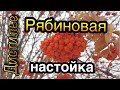 🍷Рябиновая настойка🍷