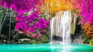 This live stream has finished. we are constantly uploading new videos
for you to enjoy. click on the link below view our latest stream: h...