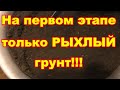 Для развития сеянцев томатов, перцев ,баклажан и.т.д - это необходимо