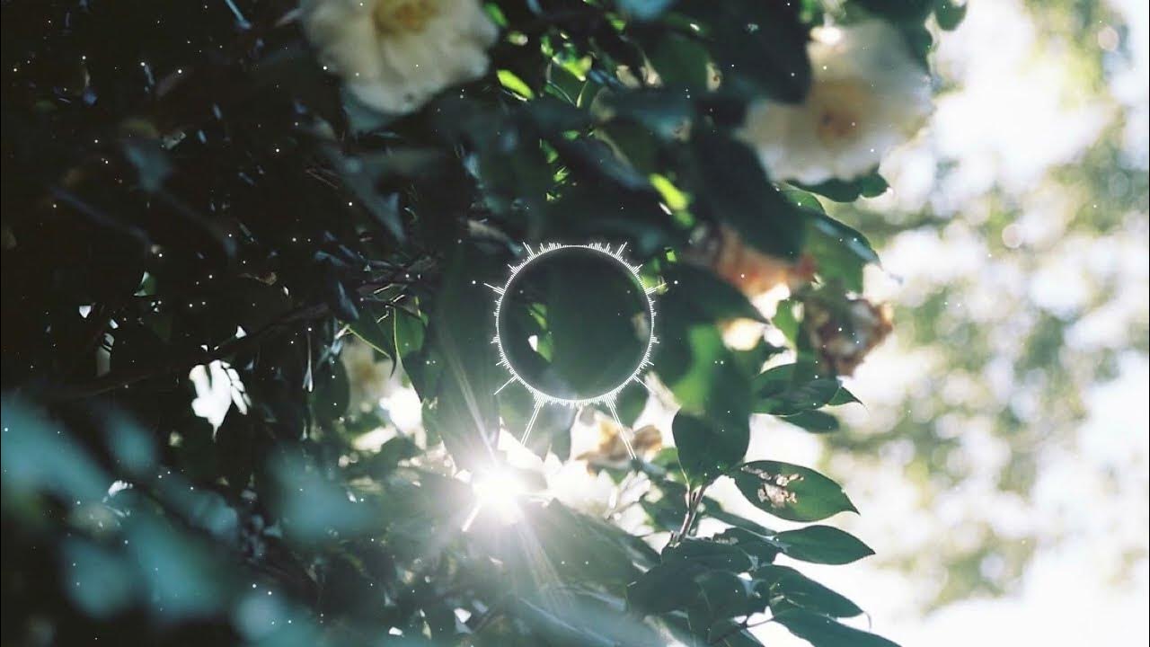 【フリーBGM】アルバ/だぁだ(alba/daada) YouTube