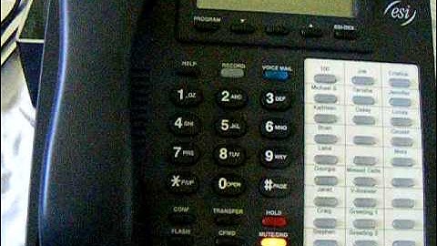 ESI IVX Telephone System - Time and Date How To