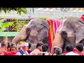 Tirumala Krishnashtami Festival || Malayappa Swamy || Sri Krishna