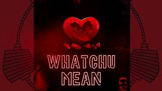 Whatchu Mean (Visualizer)