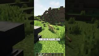 Ты Не Знал Этого Про Бирку В Майнкрафт 1.20! #Minecraft #Майнкрафт #Shorts