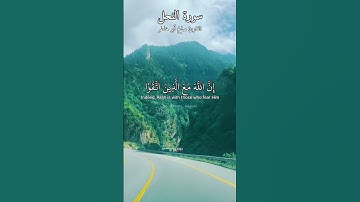 ماتيسر من سورة النحل بصوت القارئ صالح ابو خاطر
