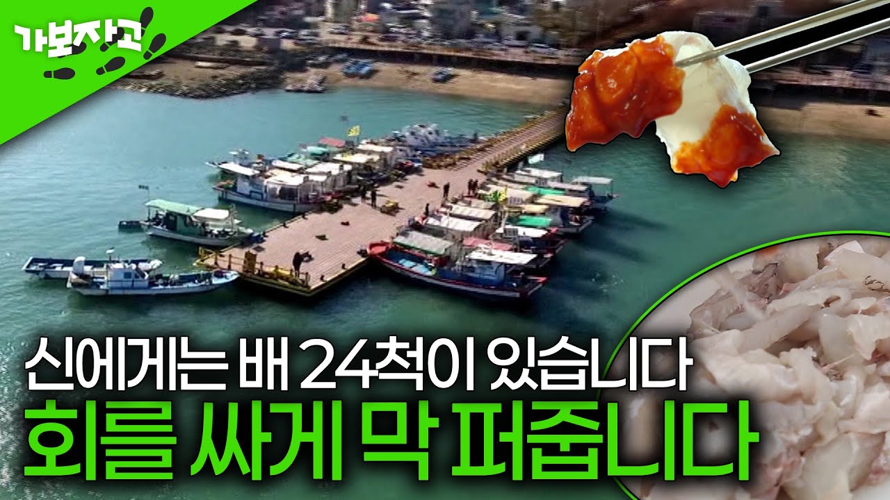 대한민국에서 회를 가장 싸게 구할 수 있는 곳…삼길포 선상 포구 횟집 [가보자고]
