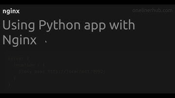 Using Python app with Nginx