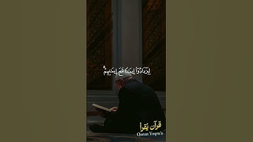 هو الذي أنزل السكينة في قلوب المؤمنين #سورة_الفتح #القرآن_الكريم #احمد_العجمي #اكسبلور#تلاوات #لايك