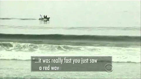 Deadly Shark Attack Possibly Great White