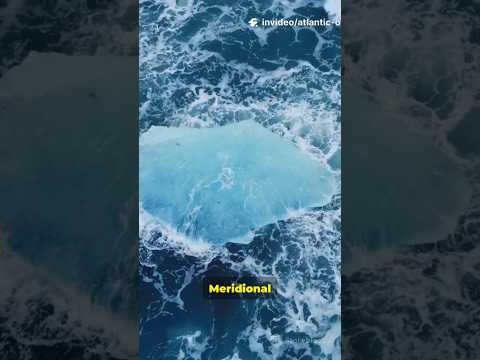 Atlantic Ocean About To Collapse Climatechange 