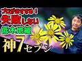 【プロも推薦!失敗しない低木地被植物オススメ神7(セブン)お庭に植える低木地被の中でも、是非オススメしたい7品目をご紹介。この低木を植えておけばお洒落で手間の掛からないお庭にすることが出来ます。