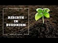 Rebirth vs reincarnation in buddhism