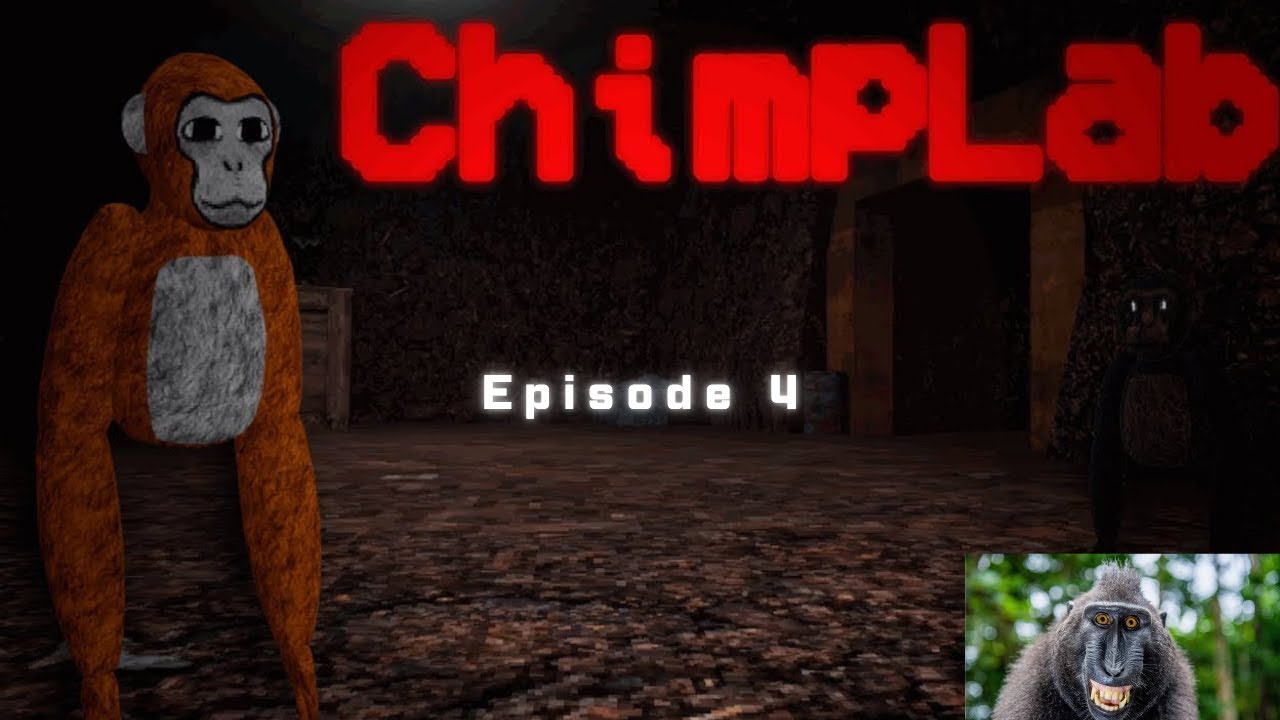 Chimp lab episode 4 - YouTube