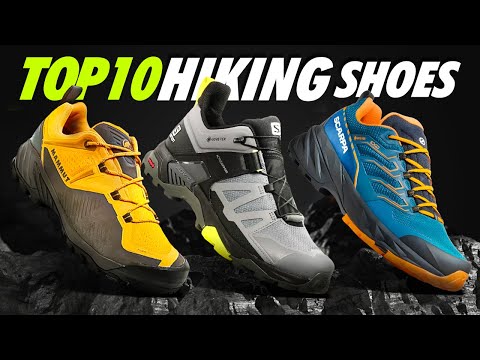 Top 10 Best