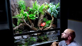 Aquascape Tutorial: HUGE XL Paludarium / Vivarium Flooded Rainforest Build (How To: Step By Step)