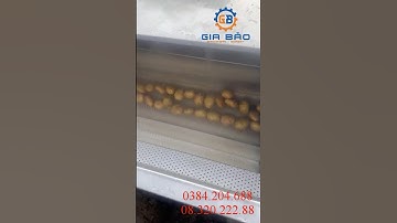 Máy rửa chà vỏ khoai lang, khoai tây, khoai mỳ, cà rốt, củ cải, củ gừng, củ nghệ, củ đậu, đậu phộng