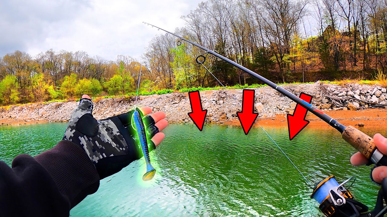 Beaver Lake PreSpawn BASS Fishing! (Prairie Creek Arkansas) Bass