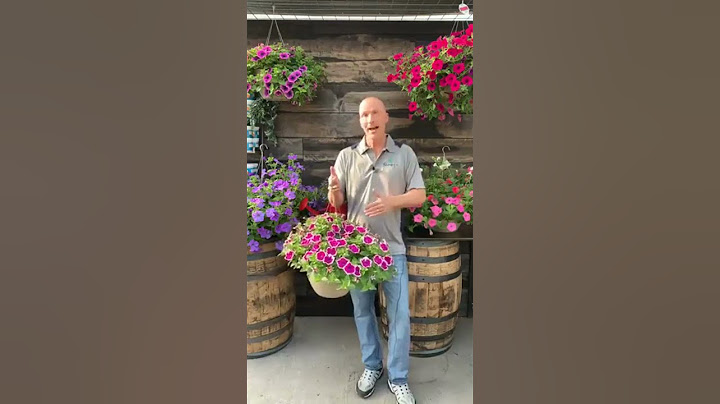 Watering Using the 24 hour Mentality
