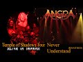 Miniature de la vidéo de la chanson Never Understand (Live)