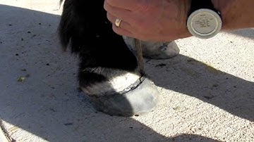 Easyboot Glue-On Removal