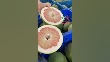 Cách bổ bưởi nhanh - gọn - lẹ✨🥳😱 #food #foodhumor #dulich #fruit #foodjokes #funny
