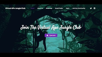 how to create nft website | NFT Landing page | Mentor Works