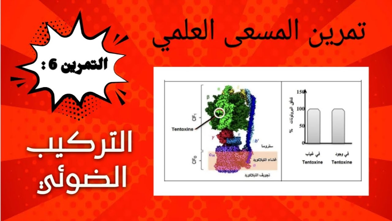 تمرين 6 : التركيب الضوئي 🍁 ( مسعى علمي ) .