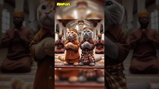 Minal 'aidin wal faizin 🙏 #trending #shorts #cat #fyp #takbiran
