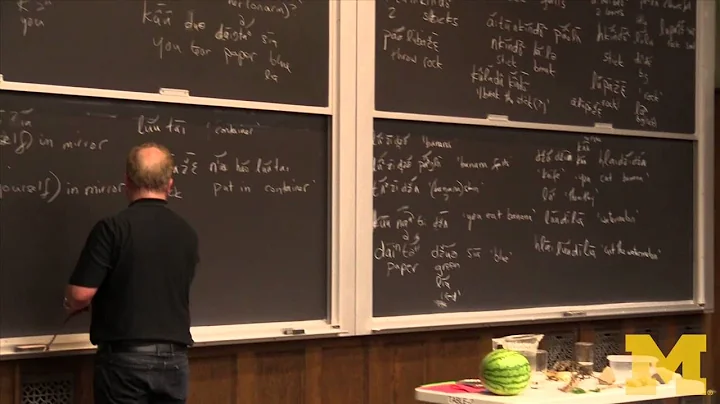 "Monolingual Fieldwork" Demonstration - Daniel Eve...