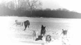 Vashti Bunyan - Jog Along Bess chords