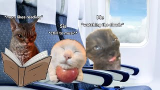 Cat memes road trip to Japan
