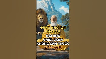 Câu chuyện chánh niệm: “Đừng khơi lại nỗi đau” - Bài học chữa lành không cần thuốc từ Nhà sư