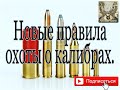 Новые правила охоты поговорим о калибрах.