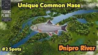 Unique Common Nase Dnipro River - Fishing Planet