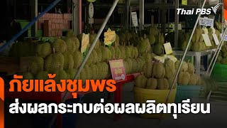 ภัยแล้งชุมพร ส่งผลกระทบต่อผลผลิตทุเรียน | จับตาสถานการณ์ | 8 พ.ค. 67