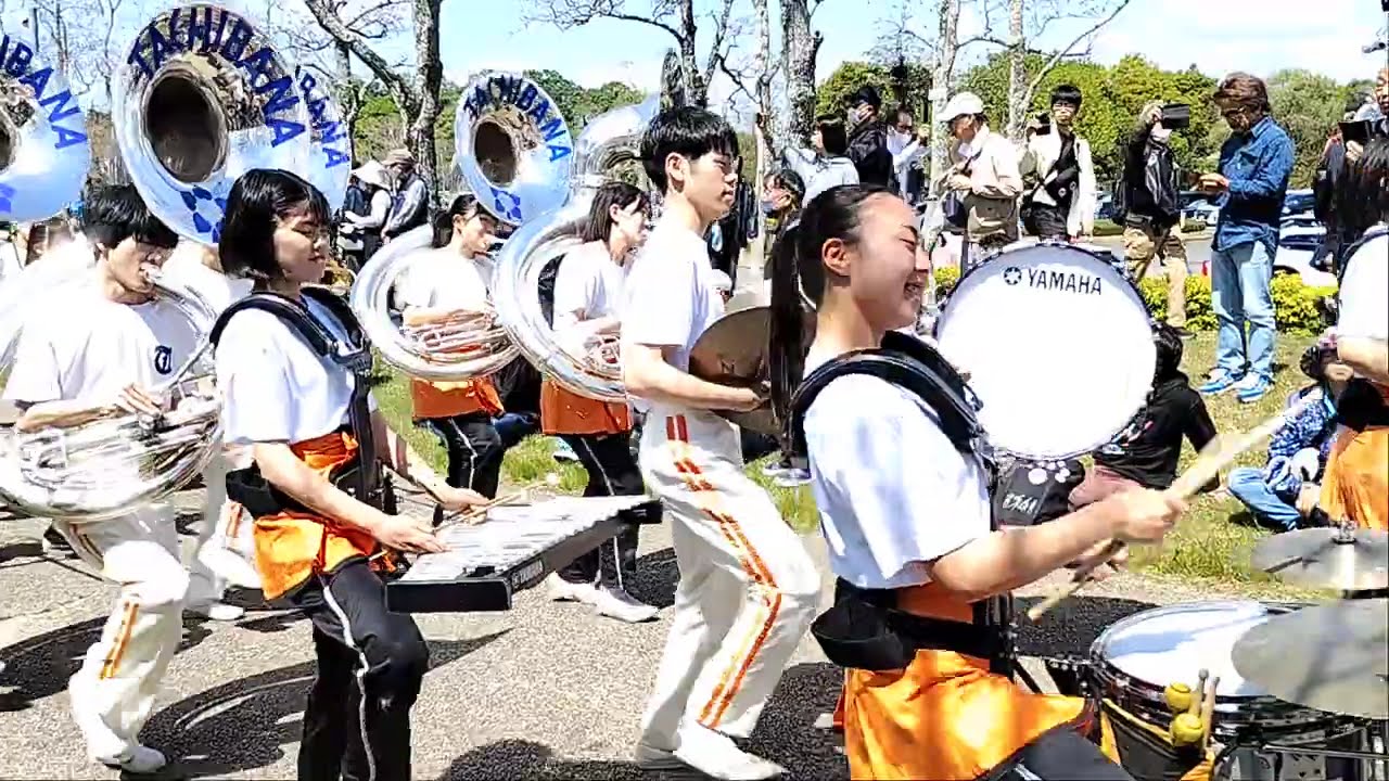 京都橘高校吹奏楽部 kyoto tachibana サン・サン・オープンエアフェスティバル2025
