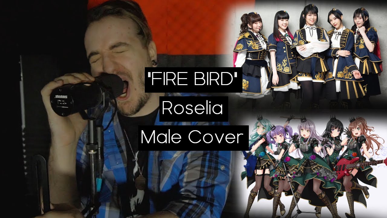 FIRE BIRD  Roselia  Male Cover