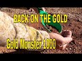 Back On The Gold Nuggets with the Gold Monster 1000, Cooler AZ Weather