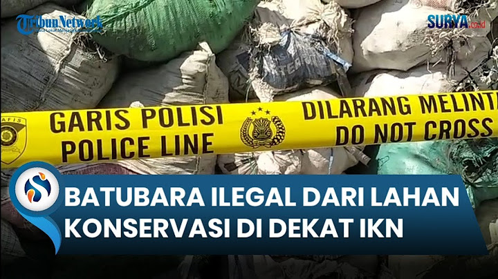 Surabaya Jadi Titik Transit Batubara Ilegal dari Lahan Konservasi di IKN. Kerugian Ditaksir Rp 5,7 T