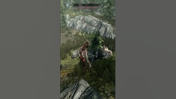Skyrim being Skyrim #37