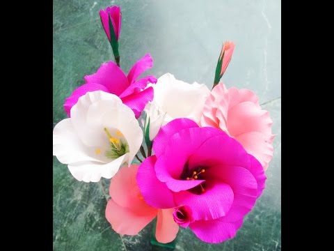 فيديو: كيفية صنع أزهار النرجس البري من الورق