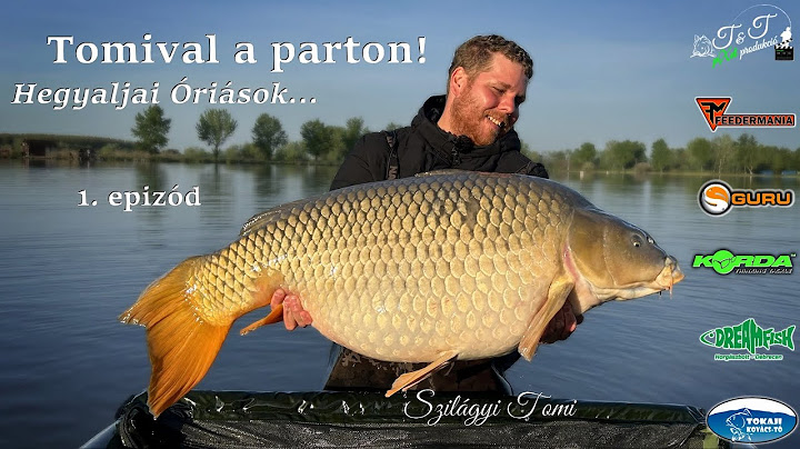 Tomival a parton! 1. epizód - Hegyaljai Óriások...