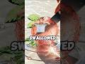 Gen Z Kid Swallowed A Golf Ball в іпёЏрџЋ Carterduzstuff Shorts Funny Trending Satisfying Gen Z Kid Swallowed A Golf Ball в іпёЏрџЋ Carterduzstuff Shorts Funny Trending Satisfying