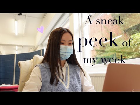 A sneak peek of my week | university of Southampton