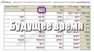 לראות ИВРИТ. Глагол ВИДЕТЬ, СМОТРЕТЬ לראות ИВРИТ. Глагол ВИДЕТЬ, СМОТРЕТЬ