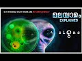 Signs 👽 |Malayalam Narration | Full Movie Story Explained in Malayalam |Film Feat|Malayalam Dubbbed