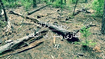 سورة الزلزلة - بصوت القارئ مشاري البغلي